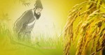 Cổ nhân dạy “Cúi đầu là bông lúa, ngẩng đầu là cỏ dại”: Sống thế nào để muôn đời lưu danh?